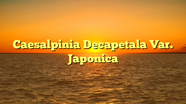 Caesalpinia Decapetala Var. Japonica