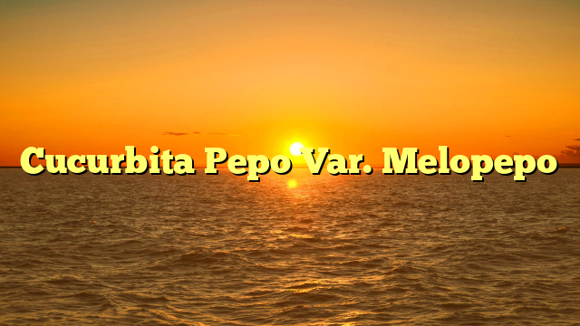 Cucurbita Pepo Var. Melopepo