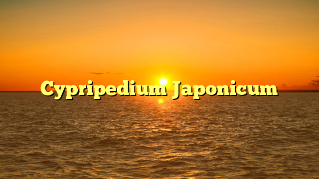 Cypripedium Japonicum