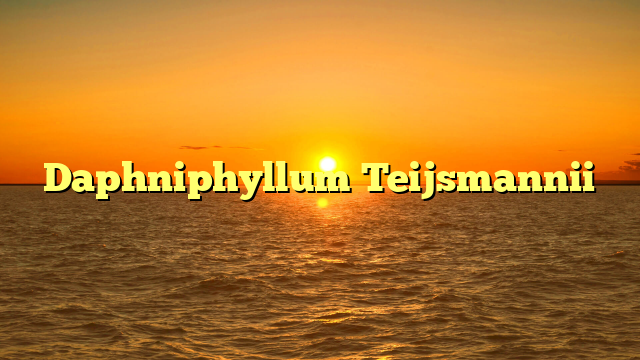 Daphniphyllum Teijsmannii