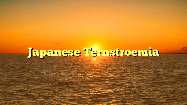 Japanese Ternstroemia