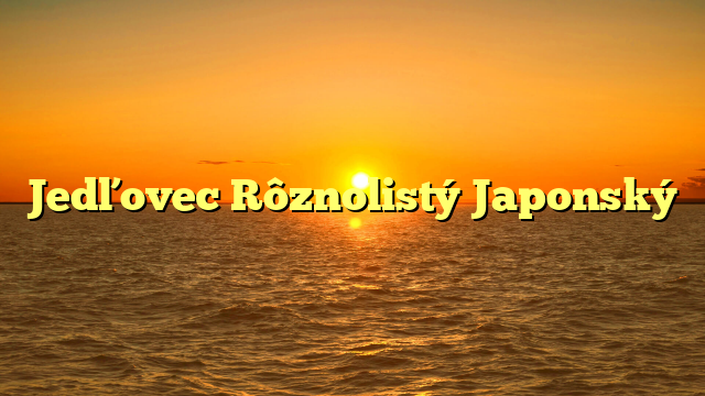 Jedľovec Rôznolistý Japonský