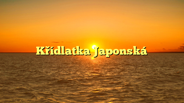 Křídlatka Japonská