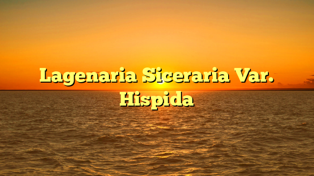 Lagenaria Siceraria Var. Hispida