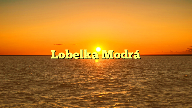 Lobelka Modrá