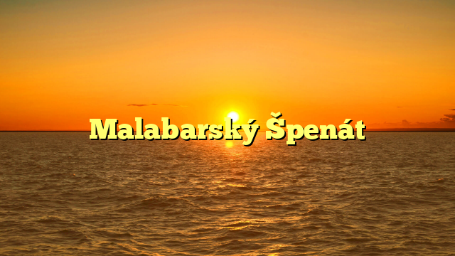 Malabarský Špenát
