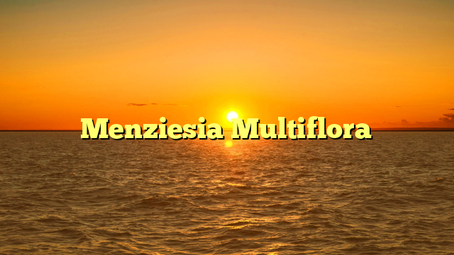 Menziesia Multiflora
