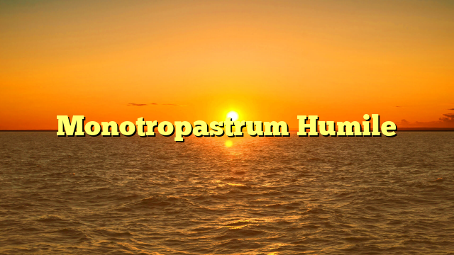 Monotropastrum Humile