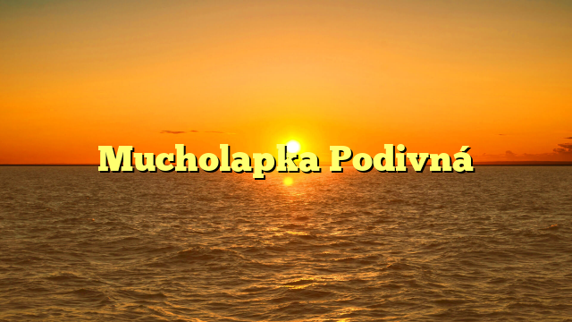 Mucholapka Podivná