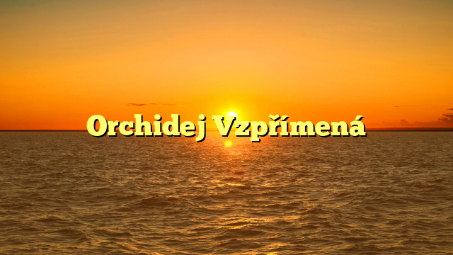 Orchidej Vzpřímená