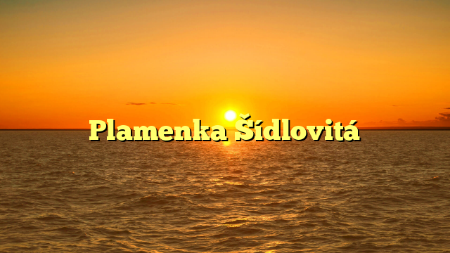 Plamenka Šídlovitá