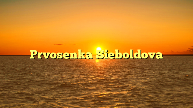 Prvosenka Sieboldova