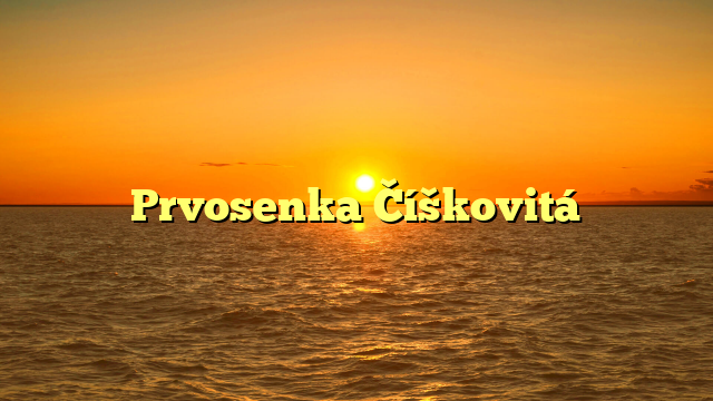 Prvosenka Číškovitá