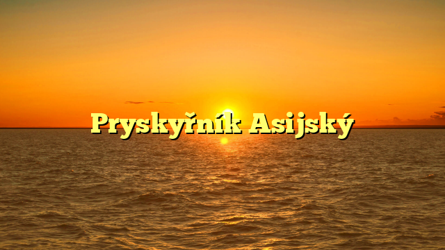 Pryskyřník Asijský