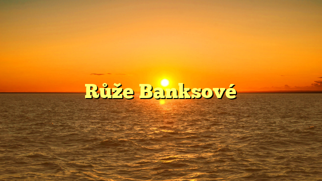Růže Banksové