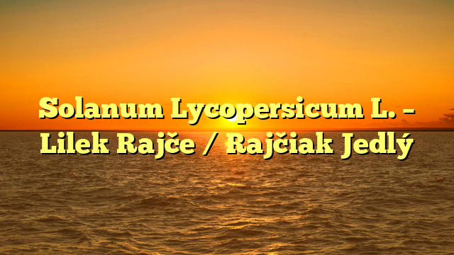 Solanum Lycopersicum L. – Lilek Rajče / Rajčiak Jedlý