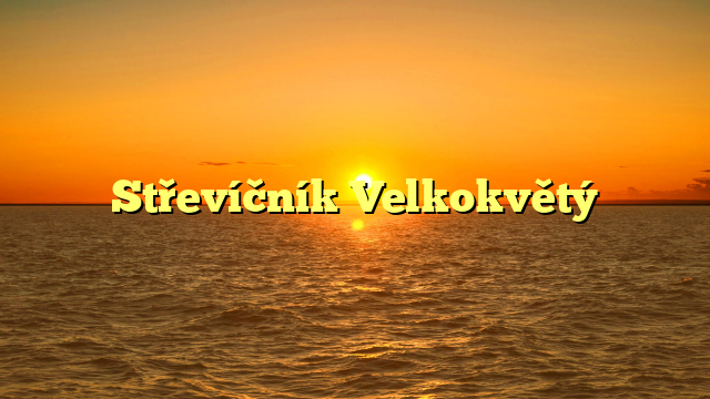 Střevíčník Velkokvětý