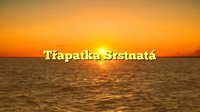 Třapatka Srstnatá