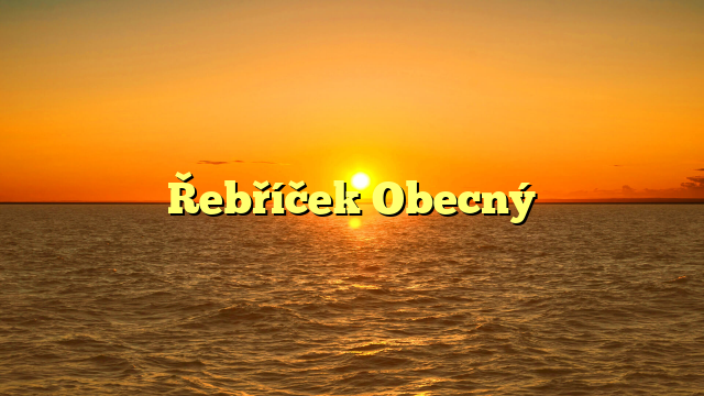 Řebříček Obecný