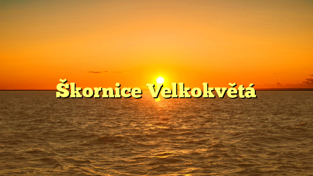 Škornice Velkokvětá